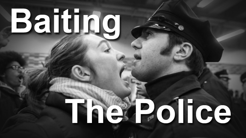 Baiting the Police: Response to Constitutionally Protected Activity [2023]
